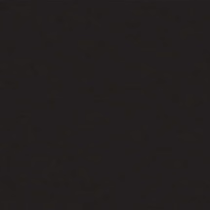 Absolute-Black-2